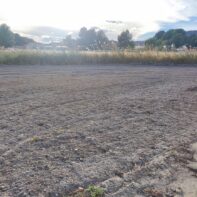 CASA CON TERRENO EN PEDANIA